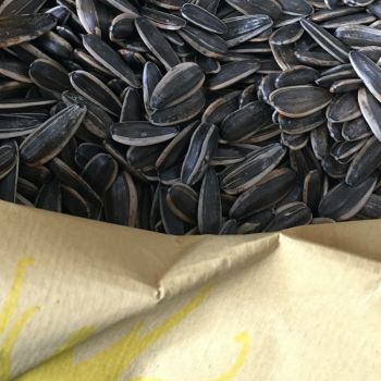 Sacchi a valvola SIS-Nofat